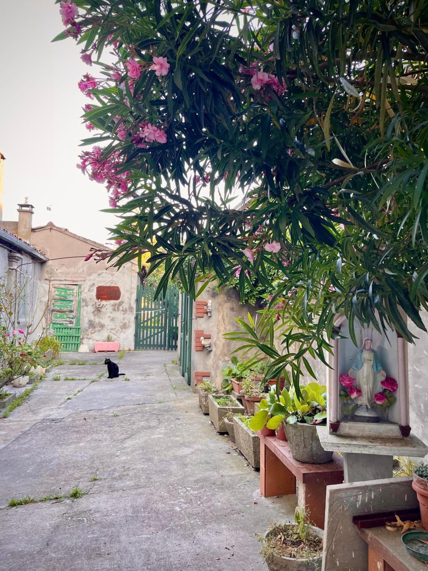 L'Encanto De Luna -Una Casa Autentica Comacchiese Comacchio Buitenkant foto